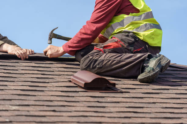 Best Metal Roofing Contractor  in Warner Robins, GA