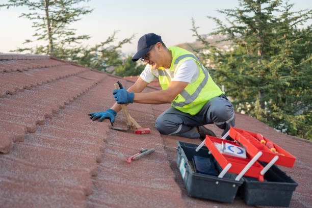 Best Commercial Roofing Services  in Warner Robins, GA