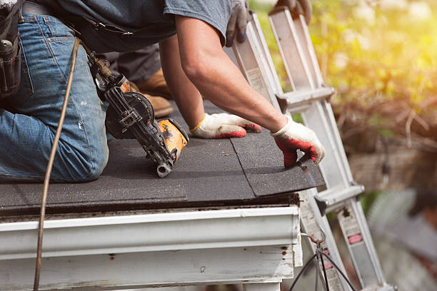 Best Roof Repair Services  in Warner Robins, GA