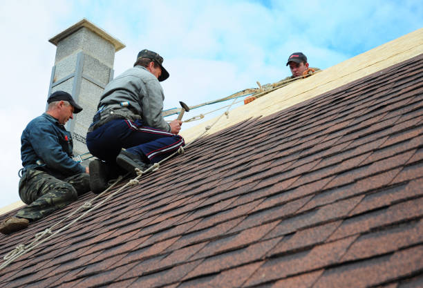Best Gutter Installation and Roofing  in Warner Robins, GA